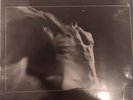 Rollins Band Hard Volume vinyl LP