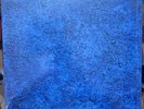 Jack White No Name New LP Record Indie Store Exclusive Blue Vinyl SEALED IN HAND