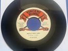 PISCES Motley Mary Ann   US 1969 Vincent Records 7