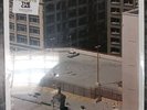Arctic Monkeys : The Car (Limited Indie Exclusive Custard Yellow Vinyl LP) NEW