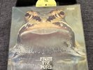 Froggie Beaver ‎ -From The Pond-1973 Original US private prog Psych LP- Rare