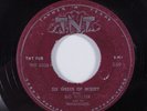 Blues 45 BIG WALTER & HIS THUNDERBIRDS Six Weeks Of Misery TNT HEAR a