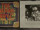 THE BEACH BOYS - LOVE YOU VINYL LP OG. 1977 REPRISE MSK 2258 STUNNING NM/NM Rare