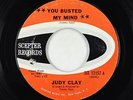 Northern Soul 45 - Judy Clay - You Busted My Mind/Kind Of Guy - Scepter
