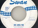Beatles SHE LOVES YOU 1964 Swan 45   BLUE Print Label   One Owner VG+ Listen