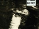 Waterboys - A Pagan Place - Used Vinyl Record - K34z