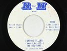 Northern Soul Garage Mod 45 - Del-Rays - Fortune Teller - R and H