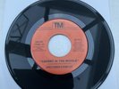 James Cobbin Prime Cut Caught In The Middle/ It’s Music Rare Modern Soul Boogie