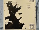 Rich Robinson - Through A Crooked Sun Vinyl LP SEALED