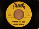 Jimmie (Jimmy) Wilson  Nobody But You/Tin Pan Alley  Blues, R&B
