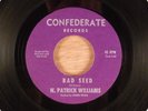 N. Patrick Williams w Inner Prism Bad Seed/Someday Tomorrow RARE  Garage