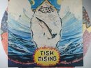 Steve Hillage Fish Rising VI 2031 Vinyl LP - Virgin Records