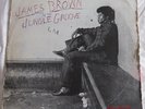 JAMES BROWN - IN THE JUNGLE GROOVE ,Polydor ,1986 ,829 624-1 Y-2, G+/VG+