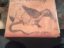 Rogue Taxidermy - Days N' Daze - Smoked Orange - Limited To 200 Rare Pressing