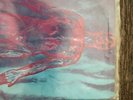 NIRVANA 45 Vinyl (PINK) Sliver Unplayed