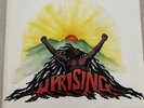 BOB MARLEY & THE WAILERS UPRISING ORIGINAL RECORD LP ROCK POP RARE