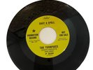 Northern Soul 45 RPM The Turnpikes on Capitol, Cast A Spell/Nothing But M- DJ