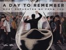 A Day To Remember - What Separates Me From You (Vinyl LP - US - Reissue)