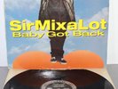 Sir Mix-A-Lot - Baby Got Back - 12