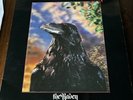 The Stranglers - The Raven - 1979 First Press Ltd. Edition VG+/EX