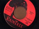 BARNEY HOWARD & PRISM - I Wonder How + Straight Ahead - RAINTREE 80s Pa. rock 45