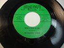 Rare Detroit 60s Garage Punk 45 the Pleasure Seekers on Hideout Hear