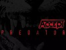 Accept - Predator - 180 Gram Vinyl Record MINT CONDITION BEST PRICE LP UDO