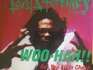 Busta Rhymes - Woo Hah  Got You All In Check (12
