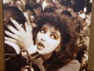 Kate Bush 4 LP vinyl box set remastered The Kick Inside Lionheart Never for Ever