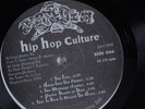 HIP HOP CULTURE Waste Not, Want Not PERFECTION LP i
