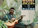 MUDDY WATERS: MUDDY BRASS & THE BLUES - LP vinyl