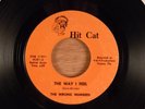 The Wrong Numbers The Way I Feel/I Wonder Why RARE  Florida Garage 1966 Hit Cat