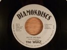 The Wunz  Cry Of The Wild/Come Take A Ride Florida Punk 1980 Diamondiscs