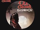 Ozzy Osbourne Blizzard Of Ozz (Picture Disc Vinyl LP, Remastered) Records & LPs