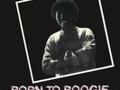STEVE WATSON - Born to Boogie (Vinyl 12-inch Single, 45 RPM) - Made in Italy
