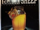Hip Hop 45 - Black Sheep - Strobelite Honey  - Mercury - OG UK Press