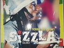 Sizzla Aint Gonna See Us Fall NEAR MINT VP Records Vinyl LP