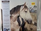 Melanchole-Double Mint by Salvia Palth (Record, 2022) New & Sealed