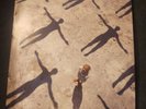 Muse Absolution (2 Lp's) Records Warner Brothers 48733-1 Excellent Condition