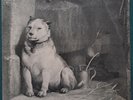PAVLOV'S DOG - PAMPERED MENIAL - 12