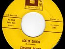 GARAGE JANGLE 45 ABOUT A BAD GIRL - SUNSHINE REIGNS - ACELIA DULFIN- HEAR