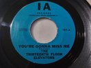 The Thirteenth Floor Elevators – You're Gonna Miss Me VG+ Reissue IA Record 1966