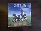 GOTTHARD Made in Switzerland DoLP KROKUS AC/DC LED ZEPPELIN SHAKRA MAHOGANY RUSH