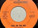 FRANKLIN FREIGHT TRAIN-Fool On The Hill-RARE Garage Fuzz SOUNDS INTERNATIONAL 45
