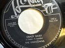 THE UNKNOWNS   CRAZY DAISY   HI HAT 142   Orig. GARY INDIANA DOO WOP 45