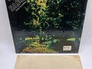 Ray Olan Y Su Sason Sugar On Sunday Salsa LP Alegre 8770 Excellent  To NM