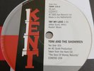Toni And The Showmen  -  Try My Love   -  UK  KENT   -  Northern Soul Deleted 45