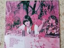 The MOVING SIDEWALKS - Flash REISSUE Psychedelic  Hard Rock LP ZZ TOP