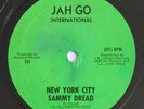 Rare Roots Reggae - NEW YORK CITY - SAMMY DREAD - VERNON BUCKLEY JAH GO 12