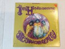 Jimi Hendrix - Are You Experienced Vinyl LP - Reprise RS 6261